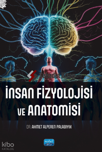 İnsan Fizyolojisi ve Anatomisi