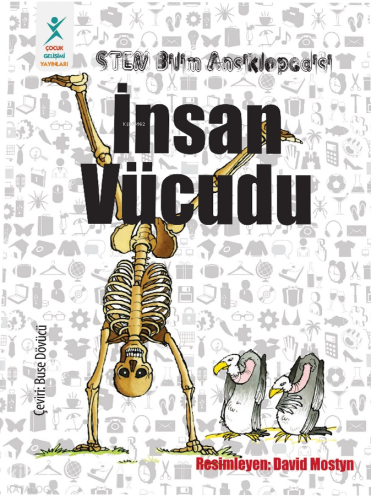 İnsan Vücudu