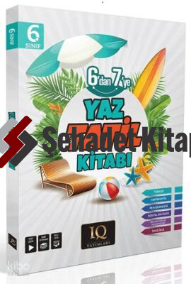 Iq Yayınları 6.Sınıf Yaz Tatil Kitabı