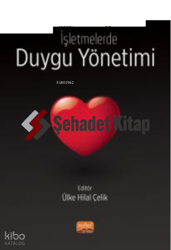 İşletmelerde Duygu Yönetimi