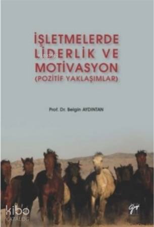 İşletmelerde Liderlik ve Motivasyon (Pozitif Yaklaşımlar) | Belgin Ayd