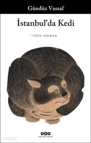 İstanbul'da Kedi