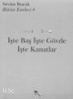 İşte Baş İşte Gövde İşte Kanatlar | Sevim Burak | Nisan Yayınları