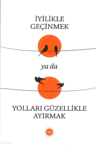 İyilikle Geçinmek ya da Yolları Güzellikle Ayırmak | Kolektif | Diyane