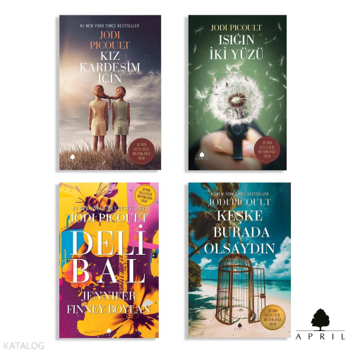 Jodi Picoult Seçkisi (4 Kitap)