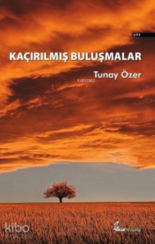 Kaçırılmış Buluşmalar