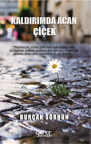 Kaldırımda Açan Çiçek