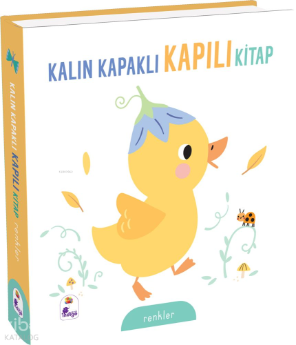 Kalın Kapaklı Kapılı Kitap - Renkler (Ciltli) | Kolektif | İndigo Kita