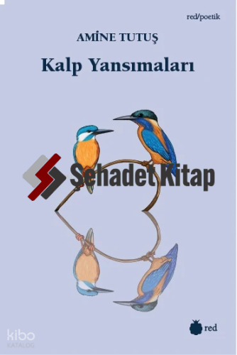 Kalp Yansımaları