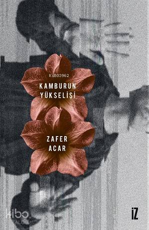 Kamburun Yükselişi