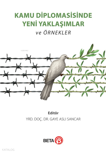 Kamu Diplomasisinde Yeni Yaklaşımlar ve Örnekler