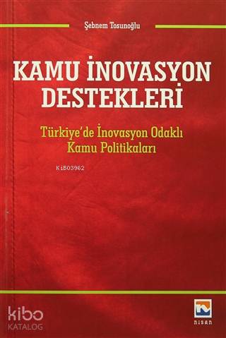 Kamu İnovasyon Destekleri; Türkiye'de İnovasyon Odaklı Kamu Politikaları