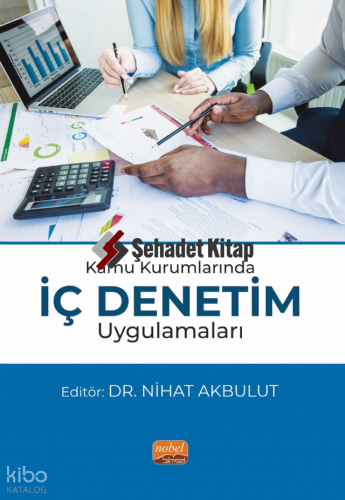 Kamu Kurumlarında İç Denetim Uygulamaları