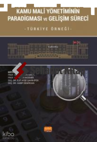 Kamu Mali Yönetiminin Paradigması ve Gelişim Süreci;Türkiye Örneği