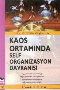 Kaos Ortamında Self Organizasyon Davranışı