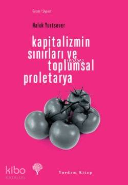 Kapitalizmin Sınırları ve Toplumsal Proletarya