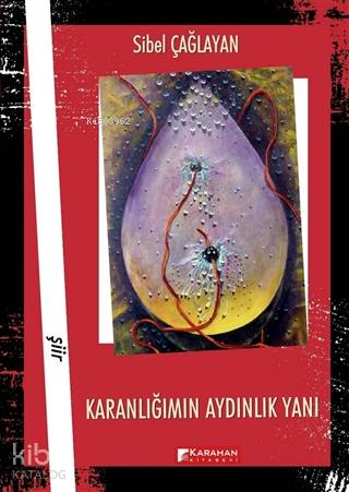 Karanlığımın Aydınlık Yanı