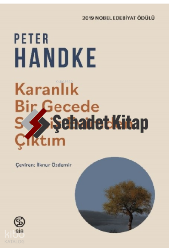 Karanlık Bir Gecede Sessiz Evimden Çıktım