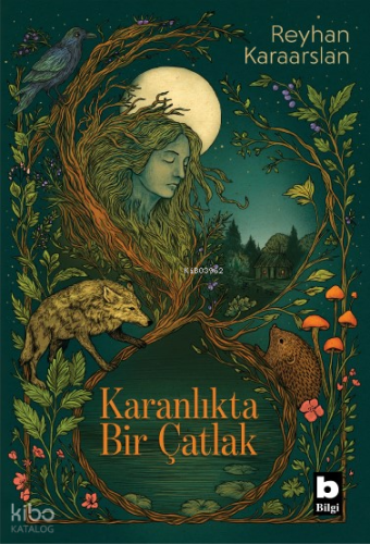 Karanlıkta Bir Çatlak