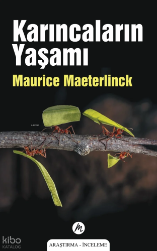 Karıncaların Yaşamı