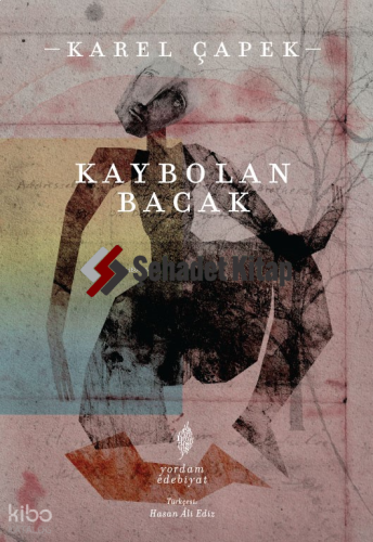 Kaybolan Bacak