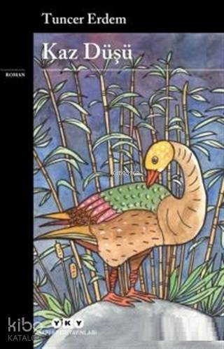 Kaz Düşü
