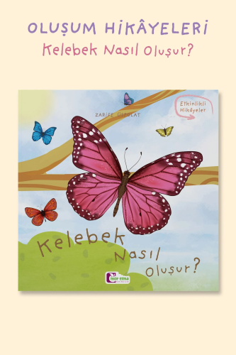 Kelebek Nasıl Oluşur?