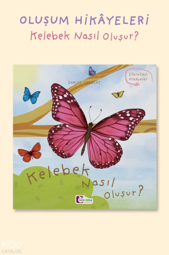 Kelebek Nasıl Oluşur?