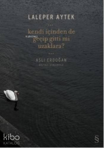 Kendi İçinden de Geçip Gitti mi Uzaklara?; Aslı Erdoğan Düzyazı Şiirle