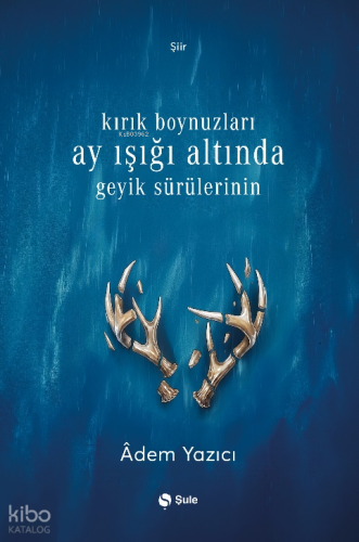 Kırık Boynuzları Ay Işığı Altında Geyik Sürülerinin | Adem Yazıcı | Şu