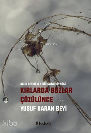 Kırlarda Buzlar Çözülünce
