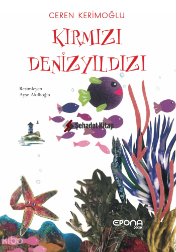 Kırmızı Denizyıldızı