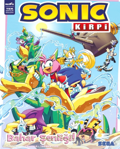 Kirpi Sonic: Bahar Şenliği