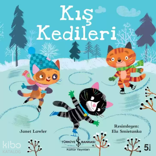 Kış Kedileri
