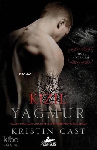 Kızıl Yağmur - Firar 2.Kitap
