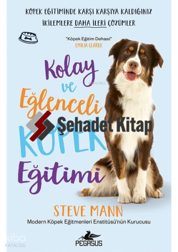 Kolay ve Eğlenceli Köpek Eğitimi