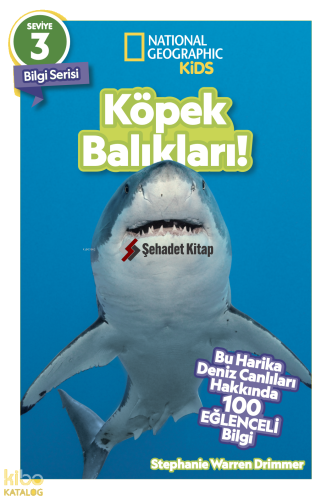 Köpek Balıkları!