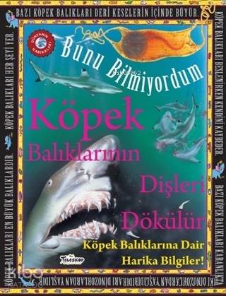Köpek Balıklarının Dişleri Dökülür - Bunu Bilmiyordum Köpek Balıklarına Dair Harika Bilgiler!