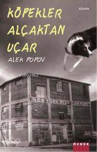 Köpekler Alçaktan Uçar
