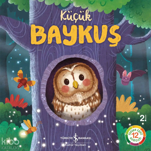 Küçük Baykuş
