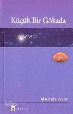 Küçük Bir Gökada