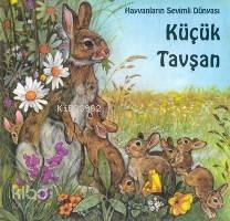 Küçük Tavşan