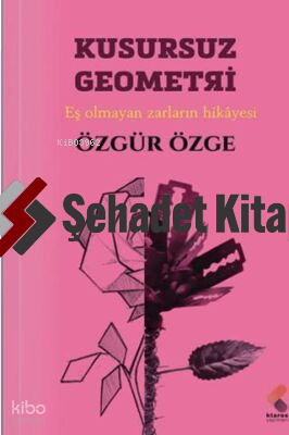 Kusursuz Geometri