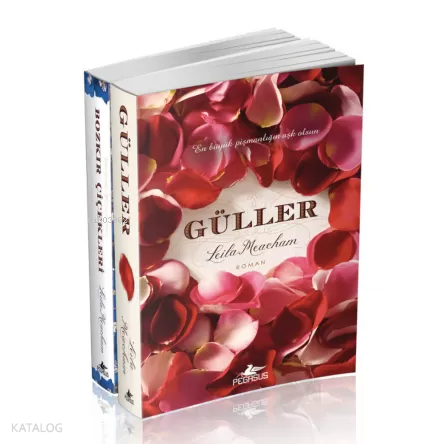 Leila Meacham Kitapları Takım Set 2