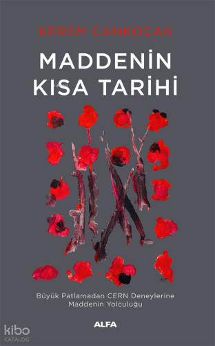 Maddenin Kısa Tarihi;Büyük Patlamadan Cern Deneylerine Maddenin Yolculuğu