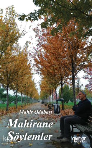 Mahirane Söylemler