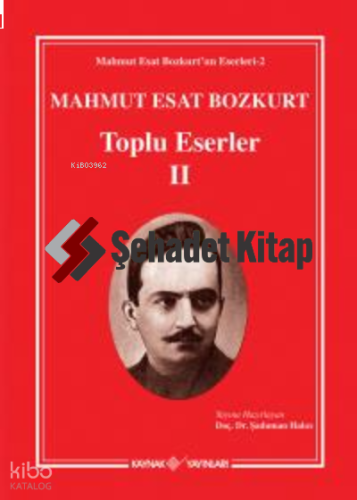 Mahmut Esat Bozkurt Toplu Eserler-II