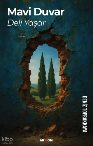 Mavi Duvar Deli Yaşar | Deniz Toprakkaya | Armoni Yayınları