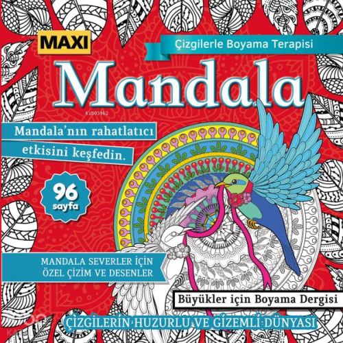 Maxi Mandala Çizgilerle Boyama Terapisi 12 | Kolektif | Maxi Yayıncılı
