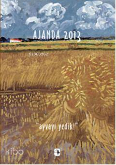 Metis Ajanda 2013: Ayvayı Yedik!